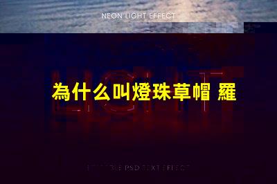 為什么叫燈珠草帽 羅為什么叫草帽當家